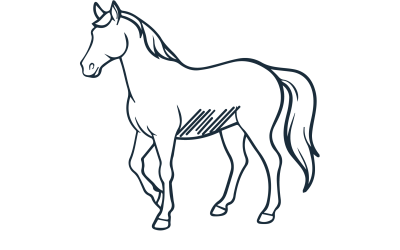 experiencias_fondos-06-06